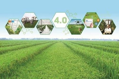 Hà Nội: Nhiều lợi ích nhờ ứng dụng công nghệ trong khu vực HTX