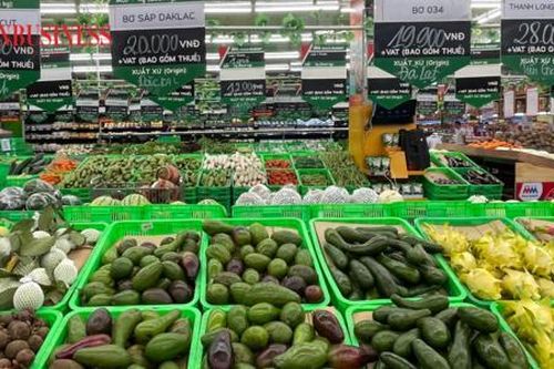 Bơ 'chân dài' rớt giá thảm hại khiến người trồng 'lao đao'