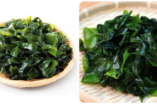 Rong biển có tác dụng gì?