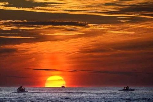 Lo ngại về môi trường khi khai thác biển sâu