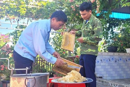 Người thương binh làm giàu từ nghề nuôi ong