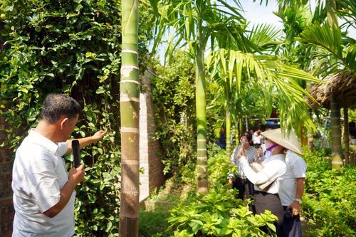 Hà Nội, hỗ trợ địa phương phát triển du lịch nông nghiệp nông thôn