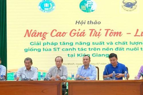 Giải pháp tăng năng suất và chất lượng giống lúa ST canh tác trên nền đất nuôi tôm