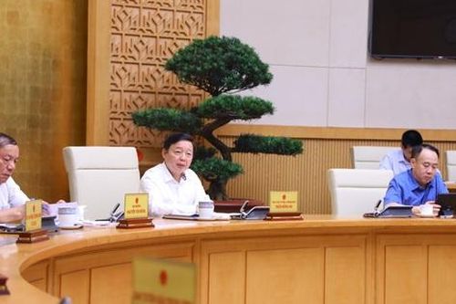 Hình thành chương trình bao trùm, tổng thể về chấn hưng, phát triển văn hóa