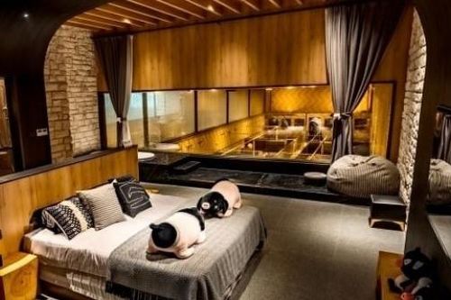 Trung Quốc: Khách sạn cao cấp hút khách nhờ có view nhìn ra...chuồng lợn