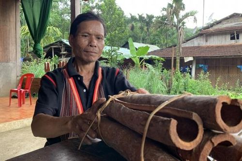 Độc đáo Lễ hội quế Trà My ở Quảng Nam