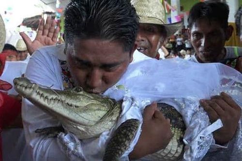 Thị trưởng ở Mexico kết hôn với cá sấu để... cầu may