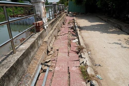 ĐBSCL 'tổn thương' vì sạt lở - Bài cuối: Hướng tới các giải pháp 'xanh, thuận thiên'