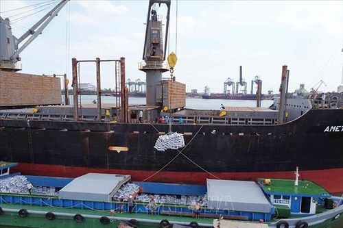 Phát triển logistics cho nông sản - Bài 1: Chặng đường quan trọng lưu thông hàng hóa