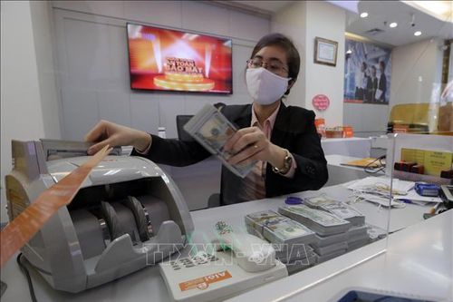 Các ngân hàng dồn dập chia cổ tức
