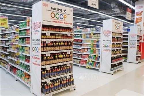 Tìm cách quảng bá và bán sản phẩm OCOP