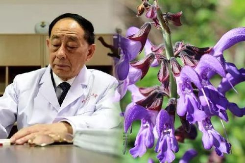 Không có gen trường thọ, vị bác sĩ vẫn sống khỏe mạnh ở tuổi 81 nhờ duy trì một bí quyết