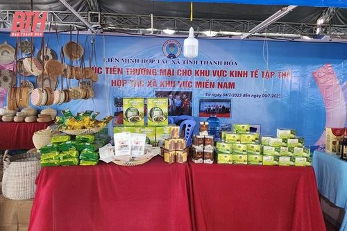 Thanh Hóa có 7 HTX tham gia Hội chợ Xúc tiến thương mại Kinh tế tập thể khu vực miền Nam