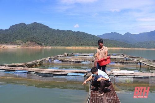 Phát triển bền vững nghề nuôi cá lồng