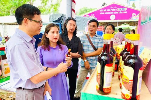 Học tập chuyển đổi số