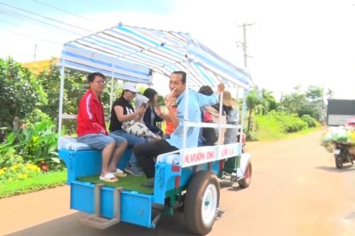 Hè tới đi Suối Mơ tắm suối, đi Long Khánh trải nghiệm vườn trái cây