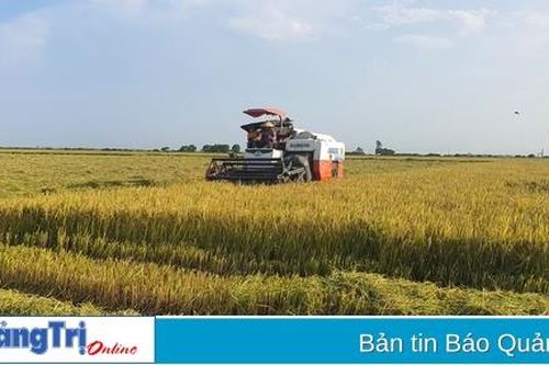 Tăng cường theo dõi, dự báo sớm để chỉ đạo sản xuất, ứng phó với thiên tai và dịch bệnh kịp thời, hiệu quả
