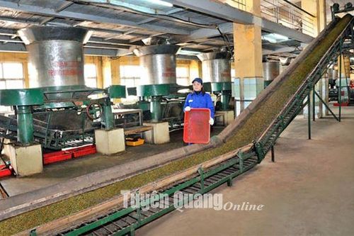 Chuẩn hóa nông sản xứ Tuyên