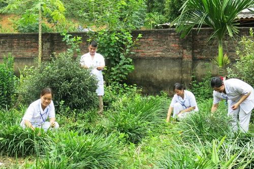 Khám, chữa bệnh Đông y cho trên 65.000 lượt người