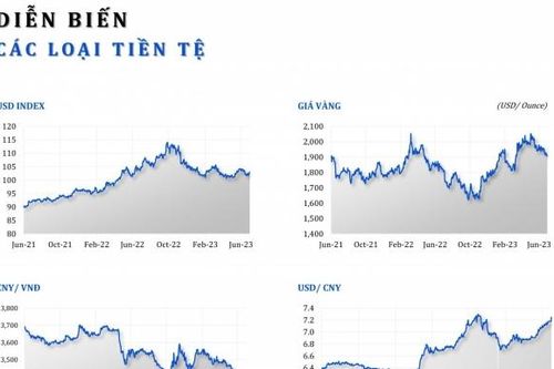 Diễn biến giá cả hàng hóa - tiền tệ 6 tháng đầu năm 2023