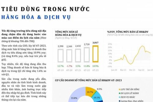 Chỉ số tiêu dùng trong nước, hàng hóa và dịch vụ 6 tháng đầu năm 2023