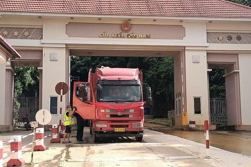 Thông quan lô hàng thủy sản đầu tiên qua cửa khẩu Cốc Nam - Lạng Sơn sau 3 năm dịch Covid-19