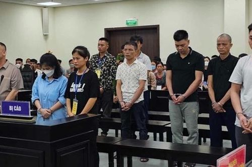 Khai thác hàng trăm chuyến tàu cát, vợ chồng và con gái cùng lĩnh án