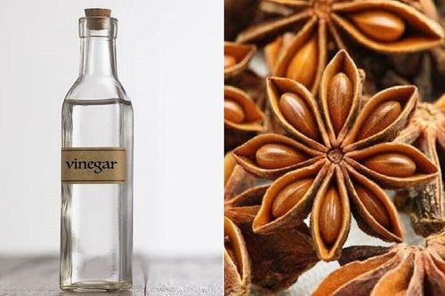 Hoa hồi ngâm giấm trắng có tác dụng gì?