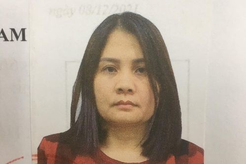 Người đàn bà dùng đủ trò để chiếm đoạt 20 tỷ đồng
