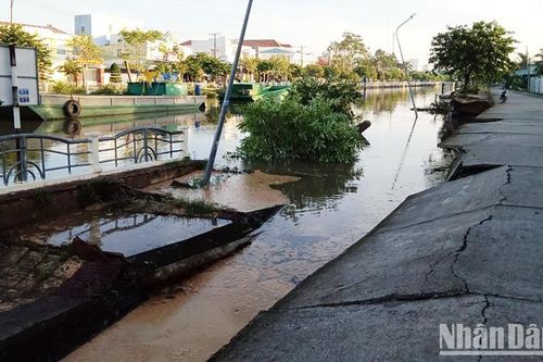 Sóc Trăng: Sạt lở nhấn chìm 50m bờ kè bê-tông xuống kênh