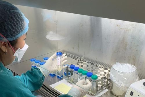 Hàng trăm phòng xét nghiệm chưa đảm bảo an toàn, Bộ Y tế yêu cầu kiểm tra ngay