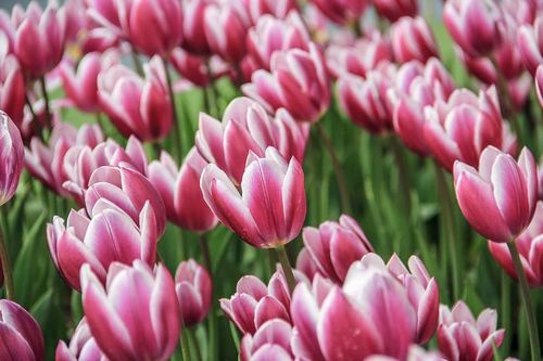 Tài lộc quấn thân: Người sinh 3 khung giờ này Thần Tài sủng ái