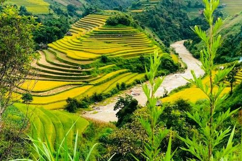 Việt Nam là quốc gia châu Á duy nhất thuộc nhóm du lịch có ý thức