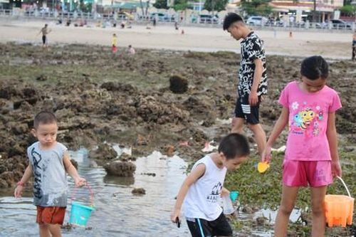 Mò cua, bắt cá ngay giữa lòng phố biển Nha Trang