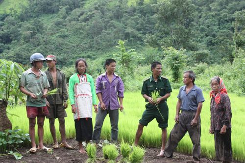 Yêu thương dồn tụ đại ngàn