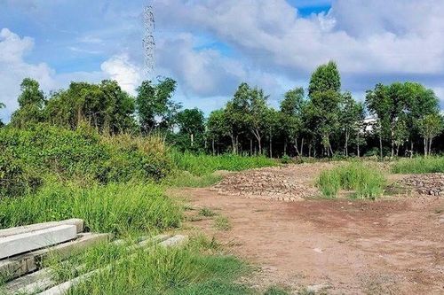 Cà Mau: Kiến nghị thu hồi đất cấp cho dự án nhà máy điện rác