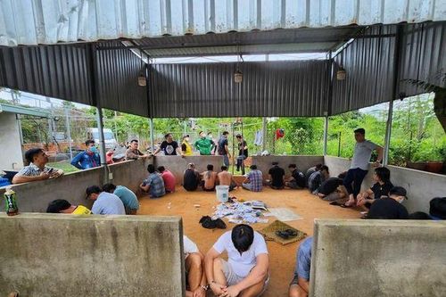 Phát hiện súng, kiếm trong trường gà ở Bình Dương
