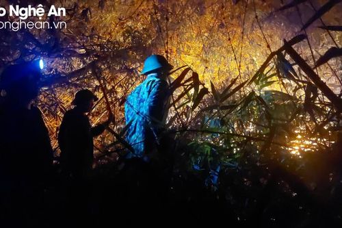 Cháy rừng giang, nứa ngày nắng nóng