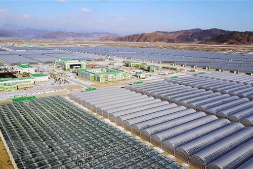 Triều Tiên họp nội các để thảo luận kế hoạch phát triển kinh tế