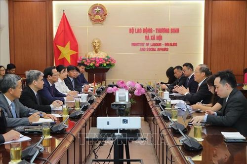 Việt Nam - Singapore tăng cường hợp tác nâng cao năng lực số cho lực lượng lao động