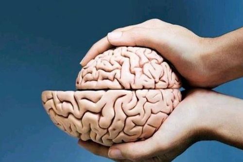 4 dấu hiệu rõ mồn một cho thấy não bắt đầu 'teo lại'