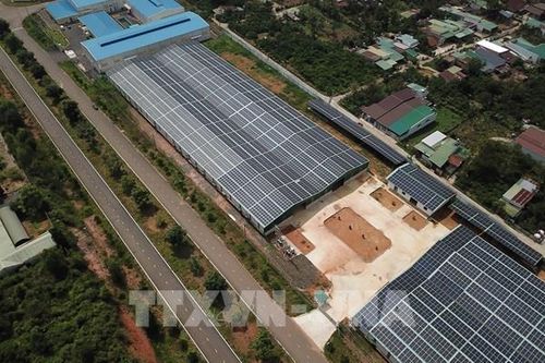 Lâm Đồng buộc tháo gỡ hệ thống điện mặt trời trái quy định trong khu công nghiệp