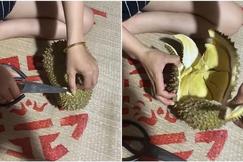 Mua quả sầu riêng với hình thù méo mó, cô gái vừa bổ ra liền reo lên vui sướng