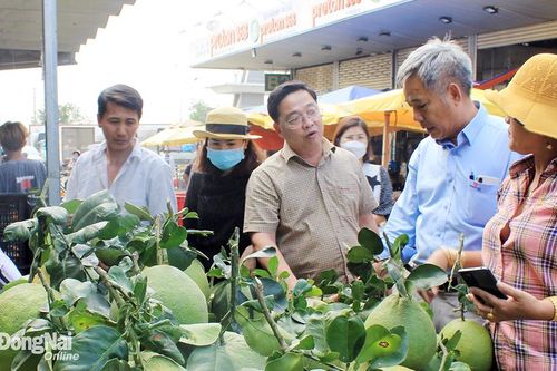 Nông dân tìm cách bán sản phẩm