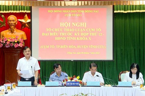 Cụm tổ số 1 đại biểu HĐND tỉnh thảo luận nhiều vấn đề nóng
