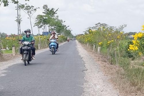 Công nhận thêm 14 xã đạt chuẩn nông thôn mới, nông thôn mới nâng cao