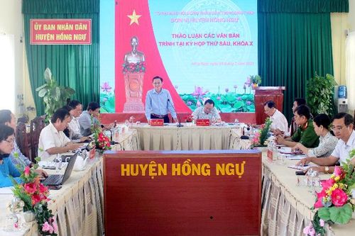Đại biểu Hội đồng nhân dân tỉnh đơn vị huyện Hồng Ngự, TP Hồng Ngự thảo luận tổ