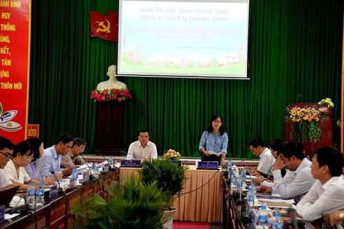 Tổ đại biểu Hội đồng nhân dân tỉnh đơn vị huyện Thanh Bình, huyện Lấp Vò thảo luận văn kiện trước kỳ họp thứ sáu