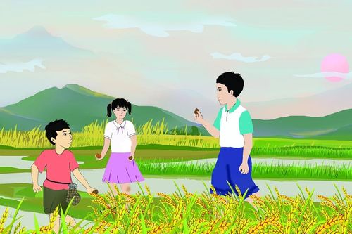 Mùa hè của con