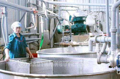 Gắn sản xuất với bảo vệ môi trường làng nghề